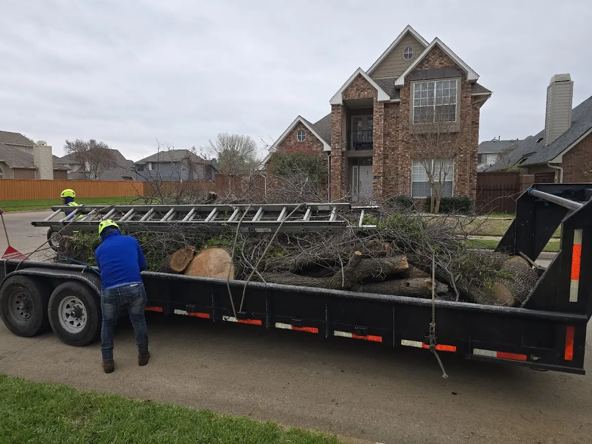 Expert Lot Clearing with proper safety equipment in Crystal Falls